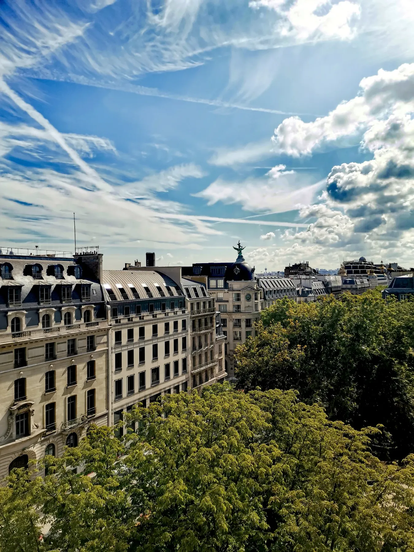 Vue parisienne depuis une terrasse